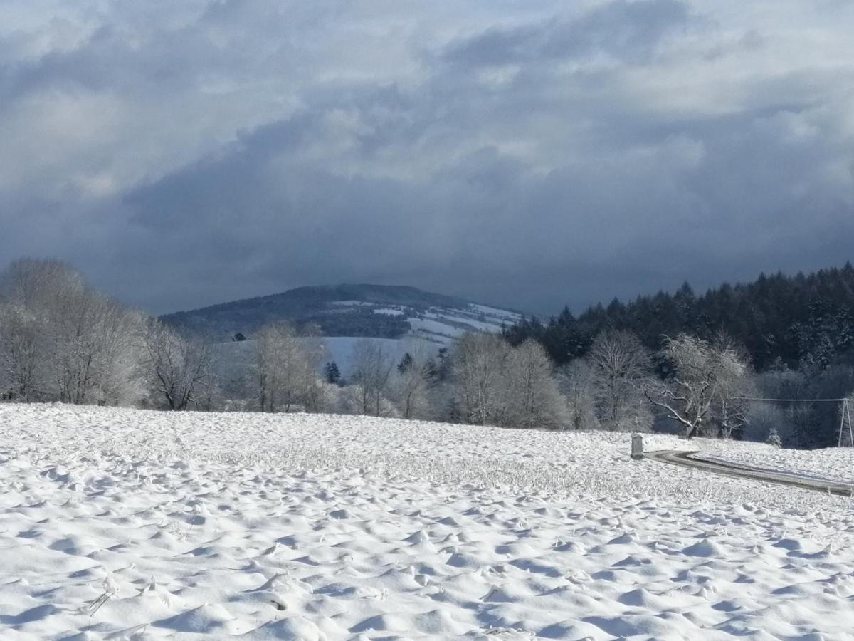 Rzepedka Villa Rzepedz Екстериор снимка
