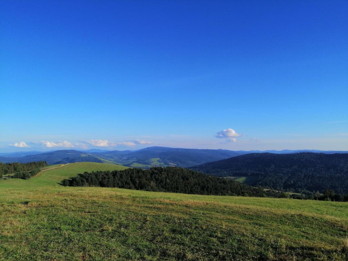 Rzepedka Villa Rzepedz Екстериор снимка