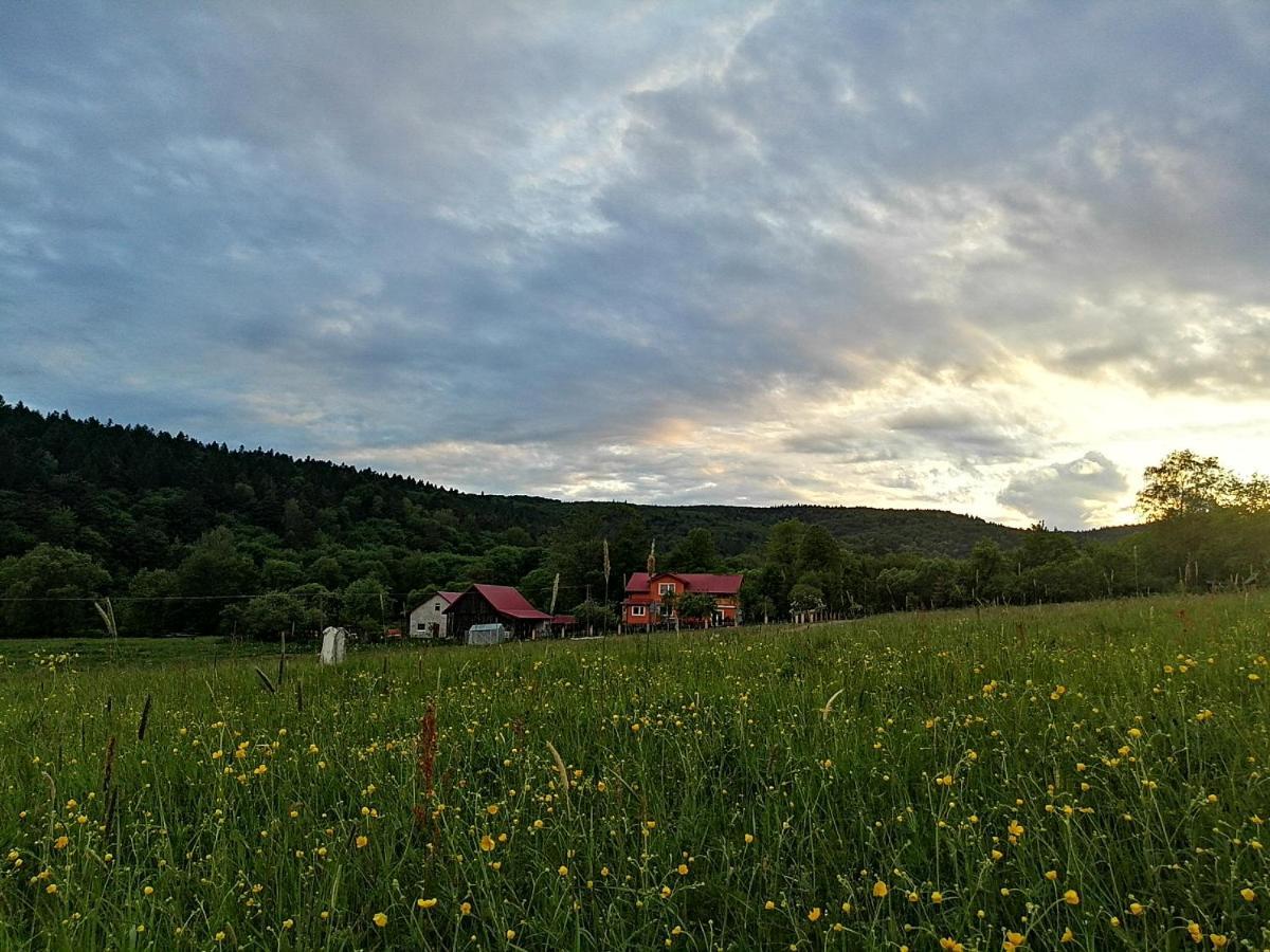 Rzepedka Villa Rzepedz Екстериор снимка