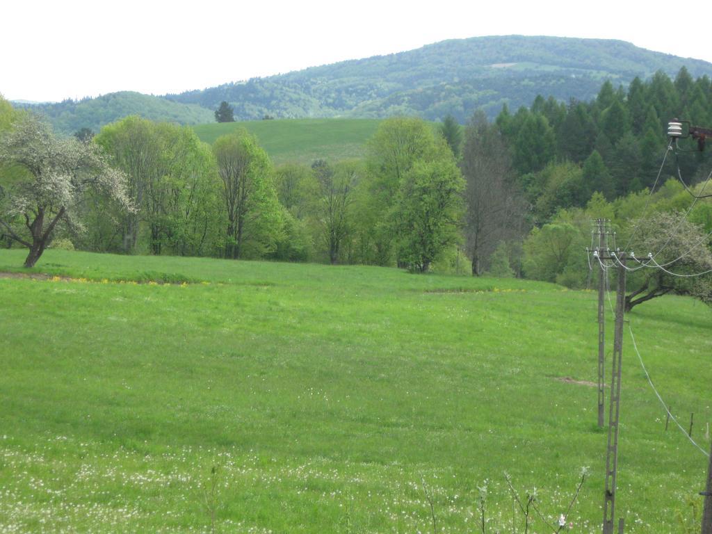 Rzepedka Villa Rzepedz Екстериор снимка