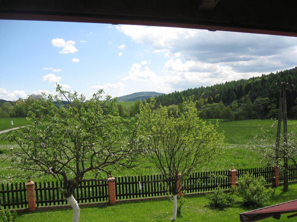 Rzepedka Villa Rzepedz Екстериор снимка